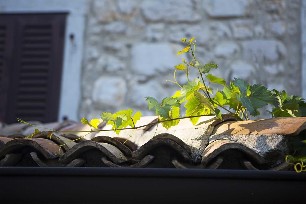 Boutique Hotel Paradiso Filipini 외부 사진